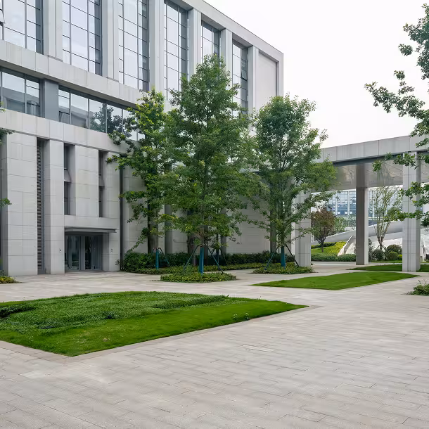 Courtyards and central quads