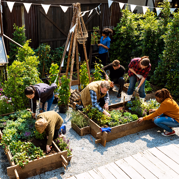 Residential gardens and community areas