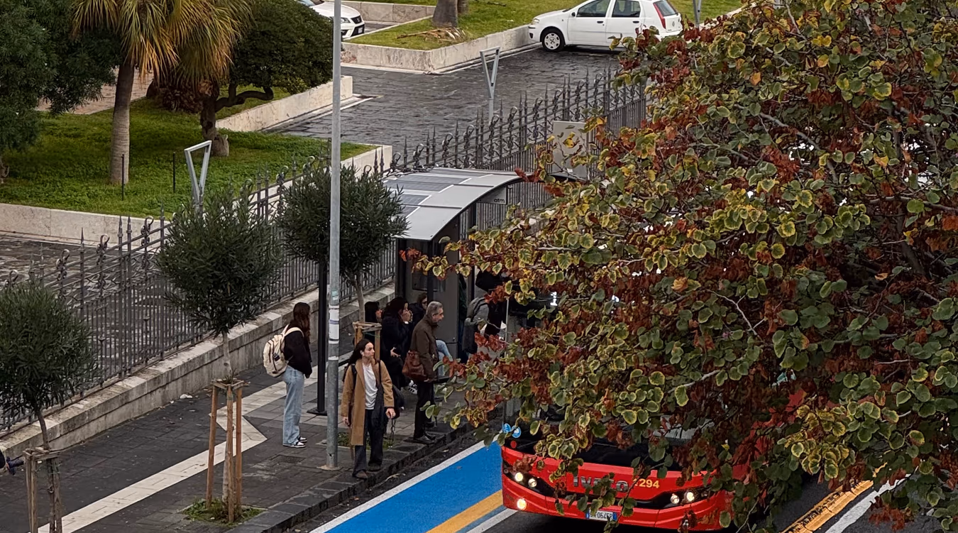 Bus stop street view