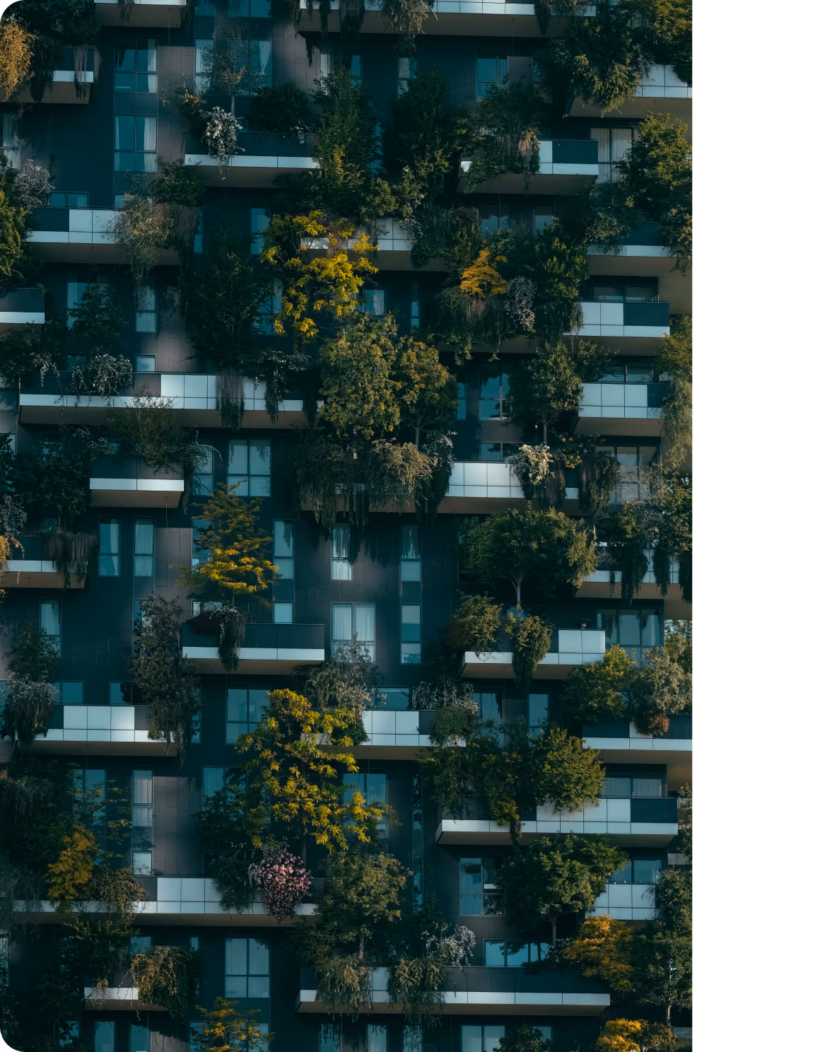 Smart city and ESG initiatives